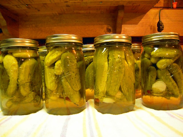 Russian malosolnije ogurtsy.