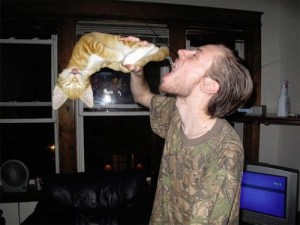 cats-hide-beer-facebook-pictures-17-e1347984112919