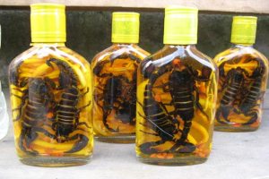 scorpion-liquor