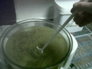 Beer brewing is a long process in which many things can go wrong.