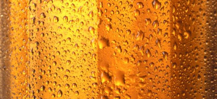 Everything is gold in the Golden Bar.